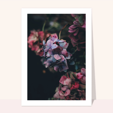 Condoléances fleurs en gros plan