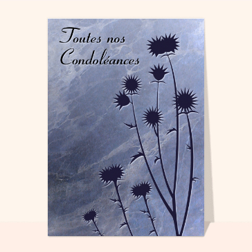 Toutes nos condoleances et chardons bleu
