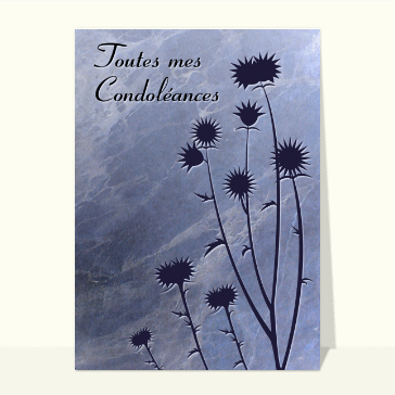 Toutes mes condoleances et chardons bleu