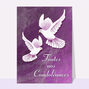 Toutes nos condoleances colombes blanche