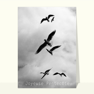 Lâché d`oiseaux et Pentecôte