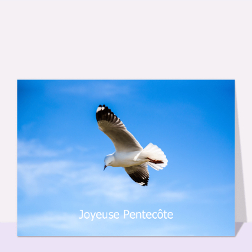 Carte de Pentecôte : Pentecôte et bel oiseau