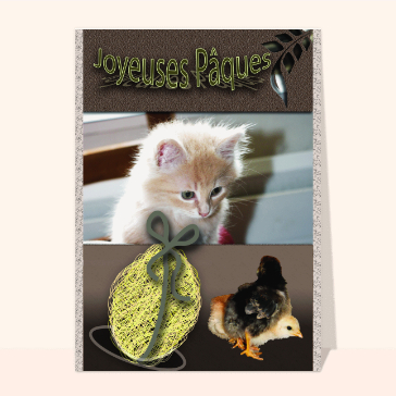 Carte de Pâques : Joyeuses pâques petit chaton