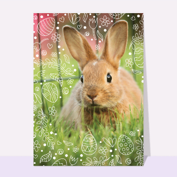 Carte de Pâques : Photo du lapin de Pâques