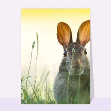Carte de Pâques : La lapin de Pâques