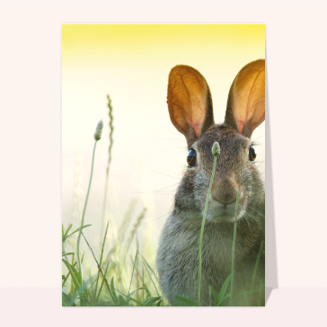 La lapin de Pâques