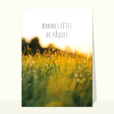 Bonnes fêtes de Pâques dans un prés