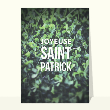 Religieux, saints et fêtes diverses : Joyeuse Saint Patrick
