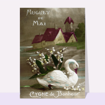 Muguet de Mai, Cygne de bonheur