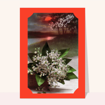 Un gros bouquet de muguet