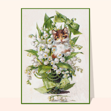 Du muguet et un petit chat