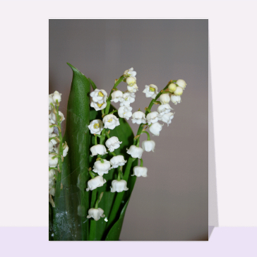 Muguet pour le 1er mai