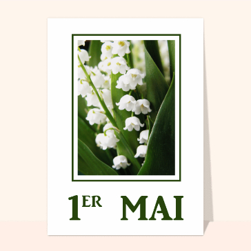 Muguet du 1er mai