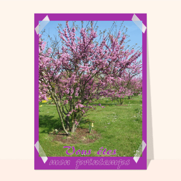 Vous êtes mon printemps