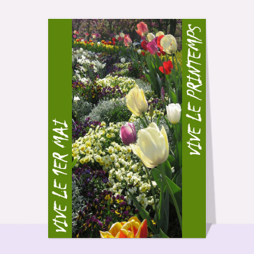 Vive le 1er mai vive le printemps