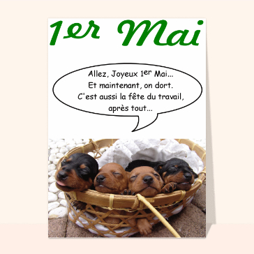 Les chiots du 1er mai