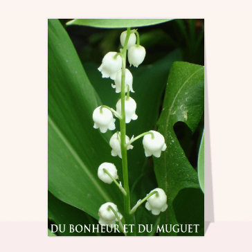 Du bonheur et du muguet pour le 1er mai