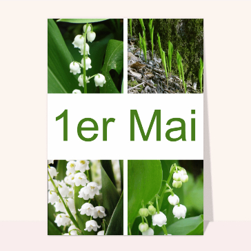 Les 4 photos de muguet du 1er mai