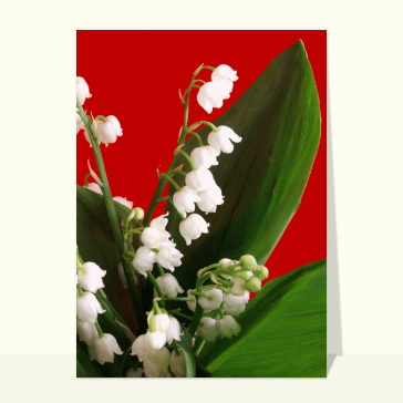 Muguet fond rouge