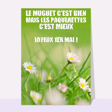 Les pâquerettes c'est mieux