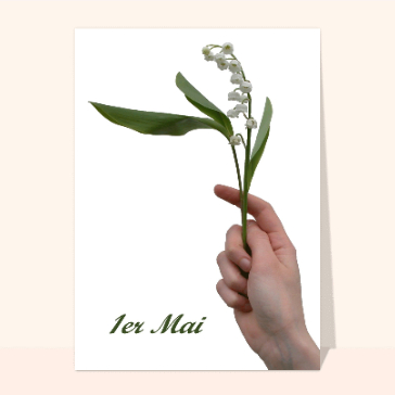 Brin de muguet du 1er mai