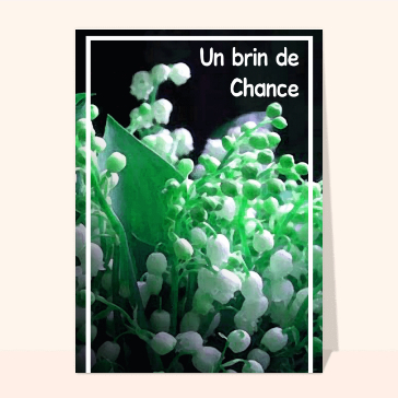 Un brin de chance