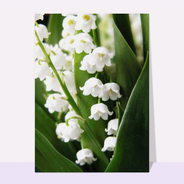 Brin de muguet