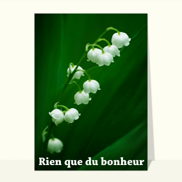 Du muguet dans la nature