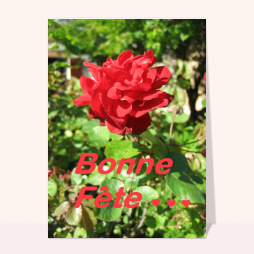 Bonne fete et rose