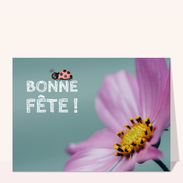 Bonne fête petite coccinelle