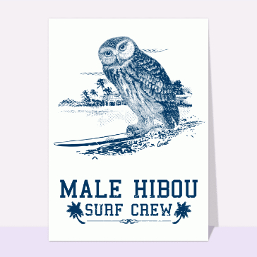 Humour : Alerte au Mâle hibou
