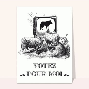 Un loup et des moutons