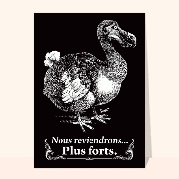 Humour : Nous reviendrons plus forts