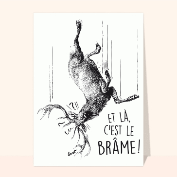 Humour : Cerf qui tombe c`est le brâme
