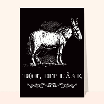 carte humour : Bob dit l`âne
