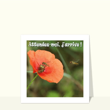 Attendez-moi j`arrive  cartes humour