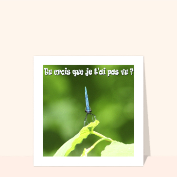 Tu crois que je t`ai pas vu  cartes humour