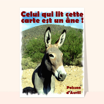 Humour : L'âne qui lit cette carte