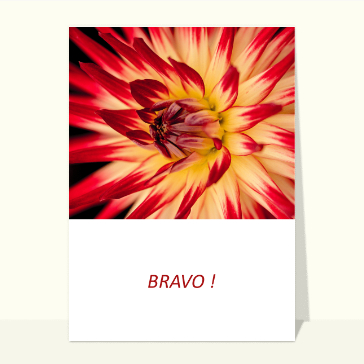 Bravo rouge