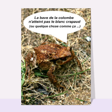 carte de poèmes : Le blanc crapaud