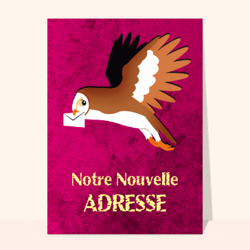 Nouvelle adresse par une chouette
