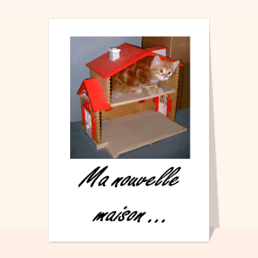 carte de déménagement : Chaton dans maison de poupée