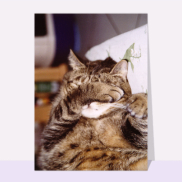Chat qui se cache