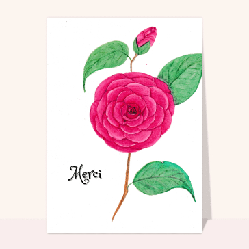 Old English Co. Carte D'amitié Mignonne Pour Femme – Carte De Remerciement Pour Meilleure Amie – Carte De Vœux Avec Citation De Girafe Pour Elle | Intérieur Vierge Avec Enveloppe