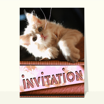 carte d'invitation divers : Invitation avec un petit chat roux