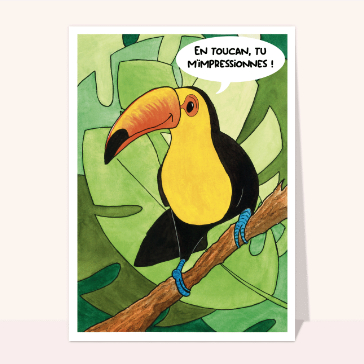 En toucan tu m`impressionnes