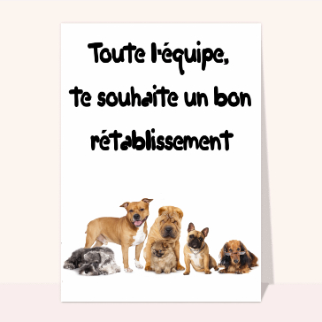 L'équipe bon rétablissement