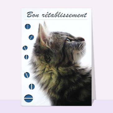 Carte Bon rétablissement avec un petit chat