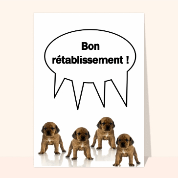 Bon retablissement petit chien