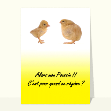 Le regime de mon Poussin